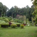 Botanishe tuinen Budugul Bali