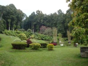 Botanishe tuinen Budugul Bali