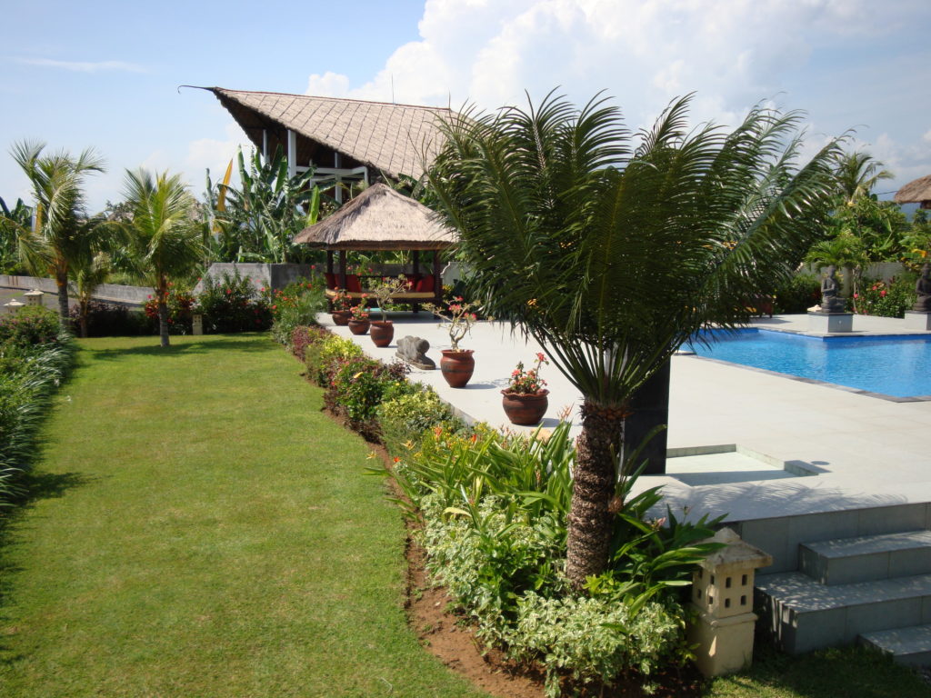 Palmbomen op Bali